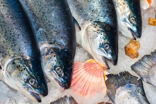 На фотографии представлены свежие морепродукты в витрине магазина. Лосось, разложенный на льду, демонстрирует высокое качество продукции. Это изображение иллюстрирует процесс продажи морепродуктов в специализированных магазинах. Ассоциации с свежестью, качеством и разнообразием предлагаемых продуктов делают эту фотографию привлекательной для рекламы рыбного бизнеса.